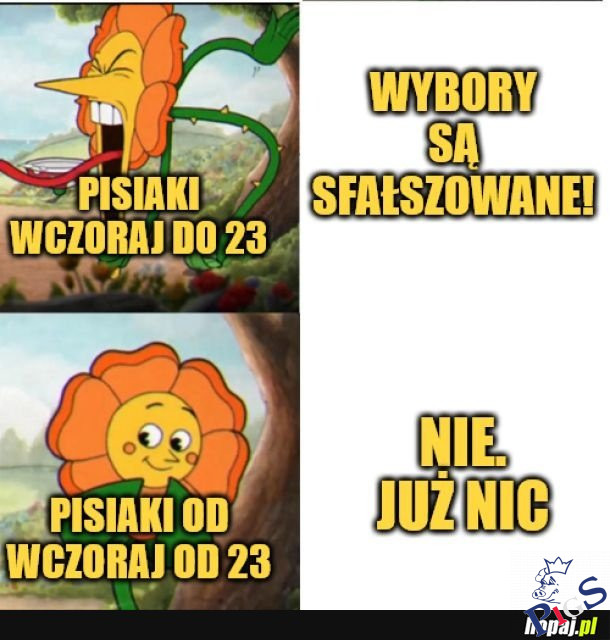 Nie, już nic