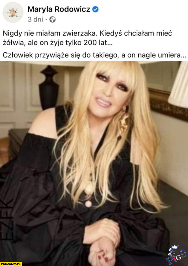 Nigdy nie miałam zwierzaka