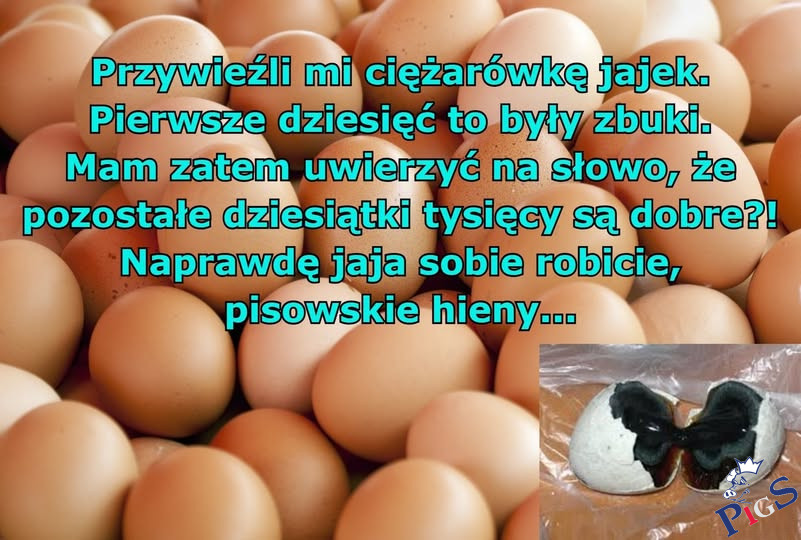 Robią sobie jaja
