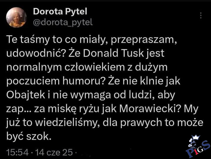 Te taśmy mają za zadanie przykryć fałszerstwo wyborów przez zwolenników zorganizowanej grupy PiS