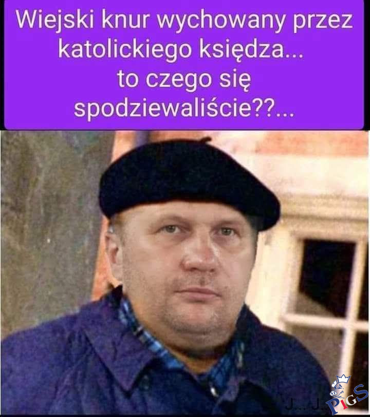 Wiejski knur