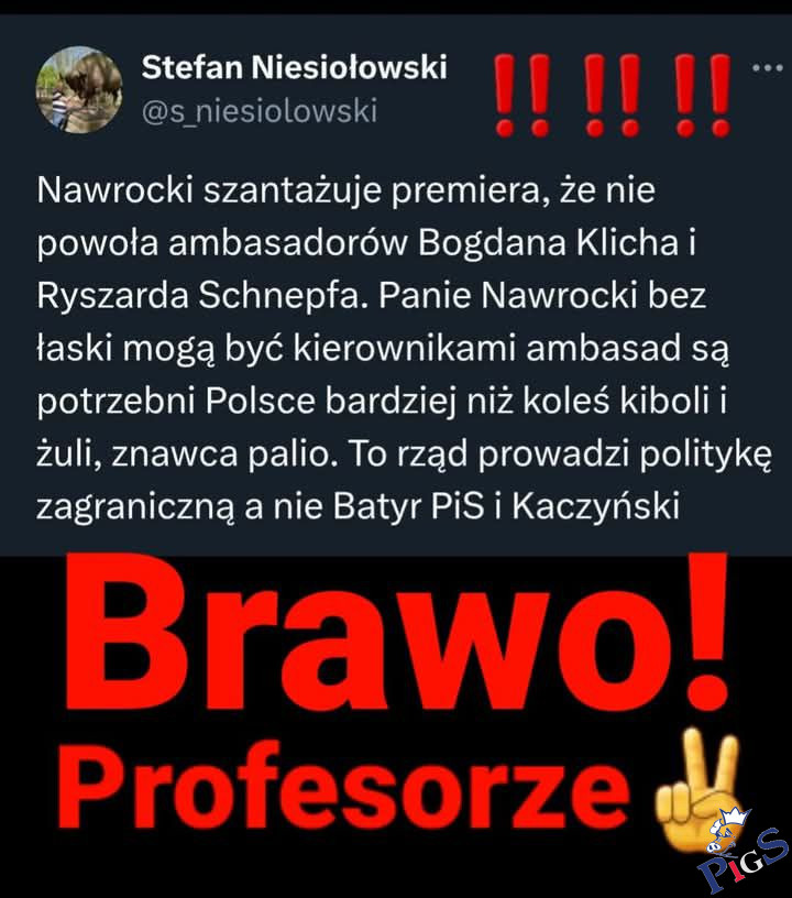Znawca palio