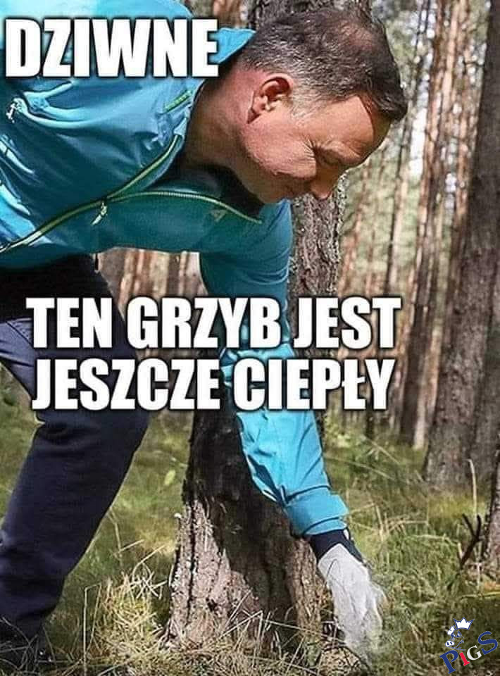 Dziwne, ten grzyb jest jeszcze ciepły