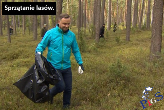 Sprzątanie lasów